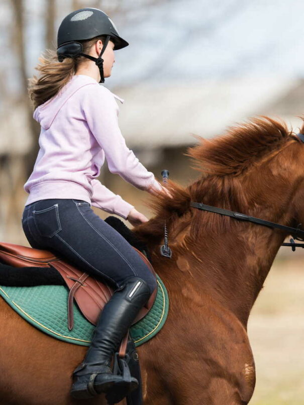 équitation